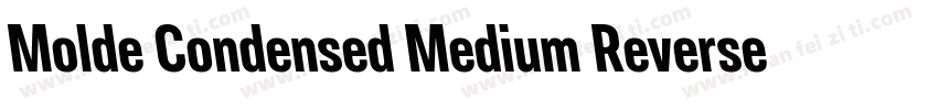 Molde Condensed Medium Reverse字体转换